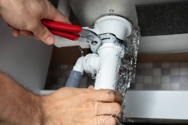 Best Local water damage restoration  in Waukegan, IL