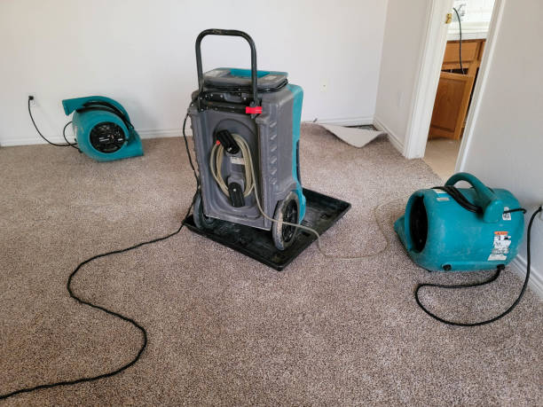 Best Flood restoration services  in Waukegan, IL
