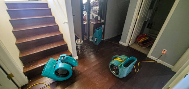  Waukegan, IL Water damage restoration Pros