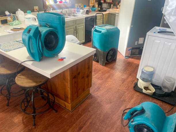 Best Basement water damage restoration  in Waukegan, IL