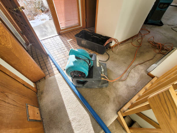 Best Basement water damage restoration  in Waukegan, IL