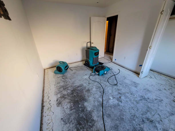 Best Flood restoration services  in Waukegan, IL