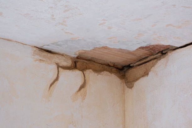 Best Sewage cleanup and water damage restoration  in Waukegan, IL