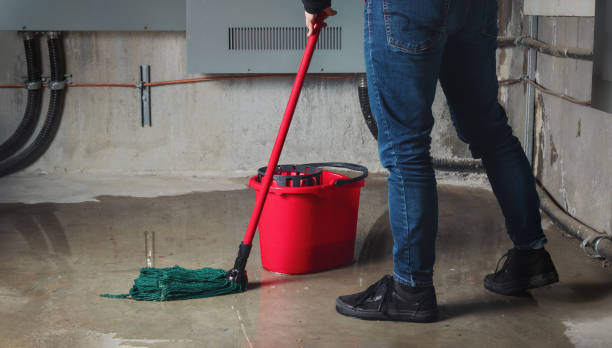 Best Fire Damage Restoration  in Waukegan, IL