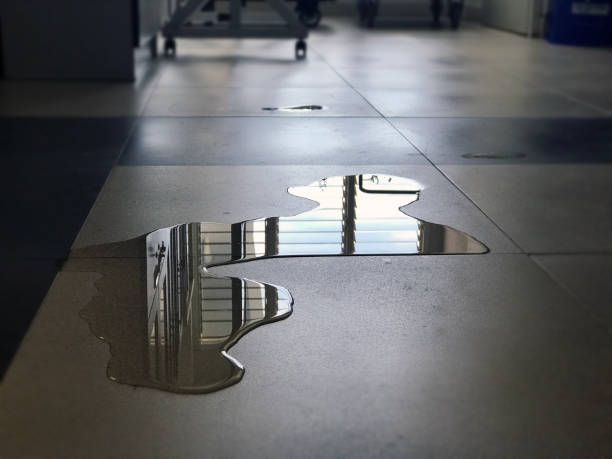 Best 24/7 water damage repair  in Waukegan, IL