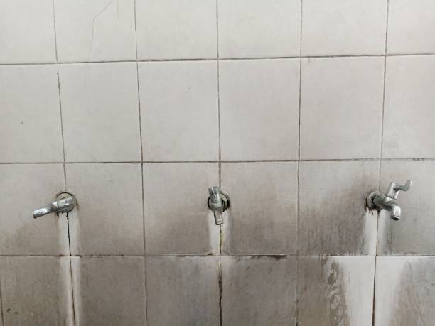 Best Carpet water damage restoration  in Waukegan, IL