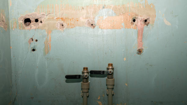 Water damage restoration insurance claims in Waukegan, IL