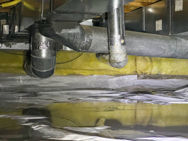 Best Professional water damage repair  in Waukegan, IL