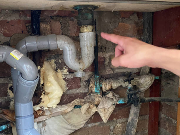 Best Emergency water extraction  in Waukegan, IL