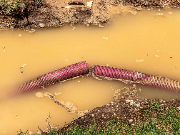Water damage restoration process in Waukegan, IL