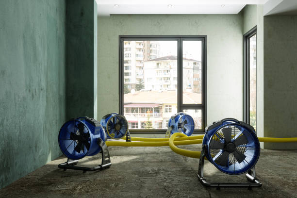 Best Emergency water damage restoration  in Waukegan, IL