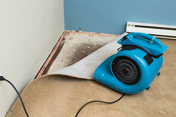 Best Emergency water damage restoration  in Waukegan, IL
